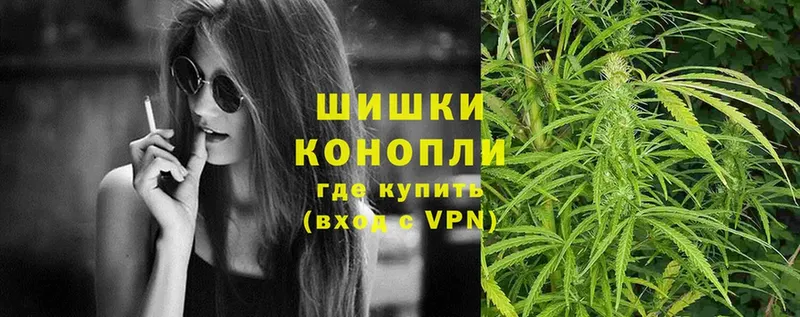 Конопля сатива  купить наркотик  Алзамай 